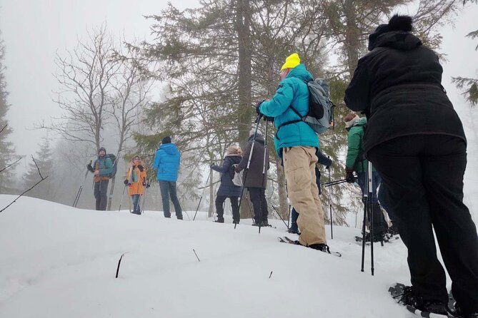Snowshoe Tour in Winter Wonderland - Oslo - Guides who make the outing personal