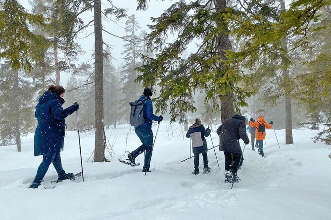 Snowshoe Tour in Winter Wonderland - Oslo - The return to Oslo