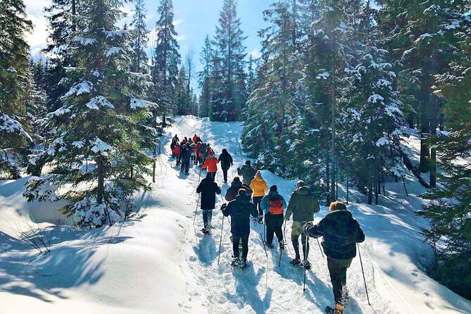 Snowshoe Tour in Winter Wonderland - Oslo - Is $106.65 a fair price?