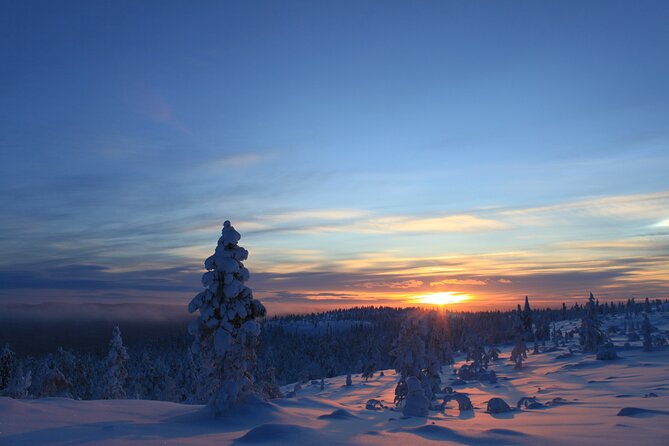 Snowshoe up a Mountain - Key points to know before you book