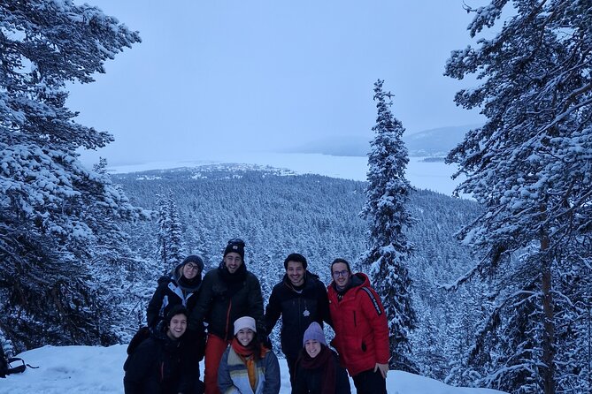 Snowshoe up a Mountain - Why the climb above Kiruna is worth your time