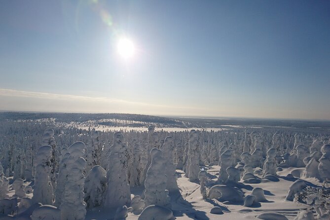 Snowshoe up a Mountain - Snowshoes, forest tracks, and a steady uphill pace