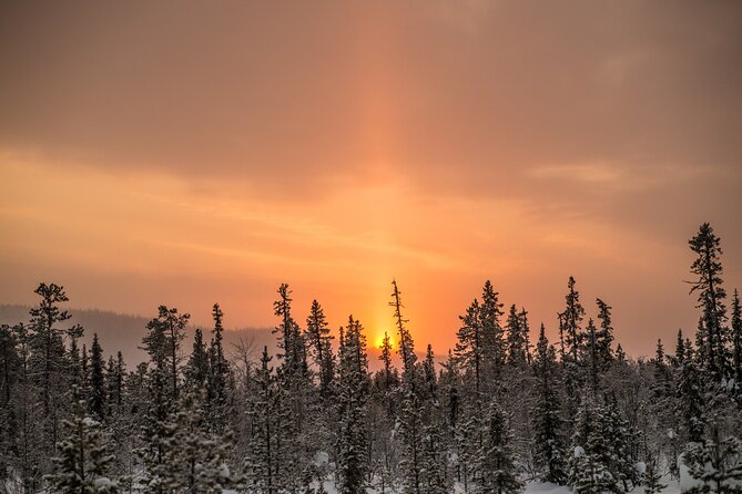 Snowshoe Winter Hike from Stockholm - Campfire lunch and Swedish fika
