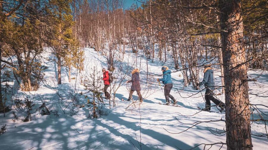 Snowshoeing Adventure to the Enchanting Frozen Waterfall - Light, clothing, and comfort in Alta