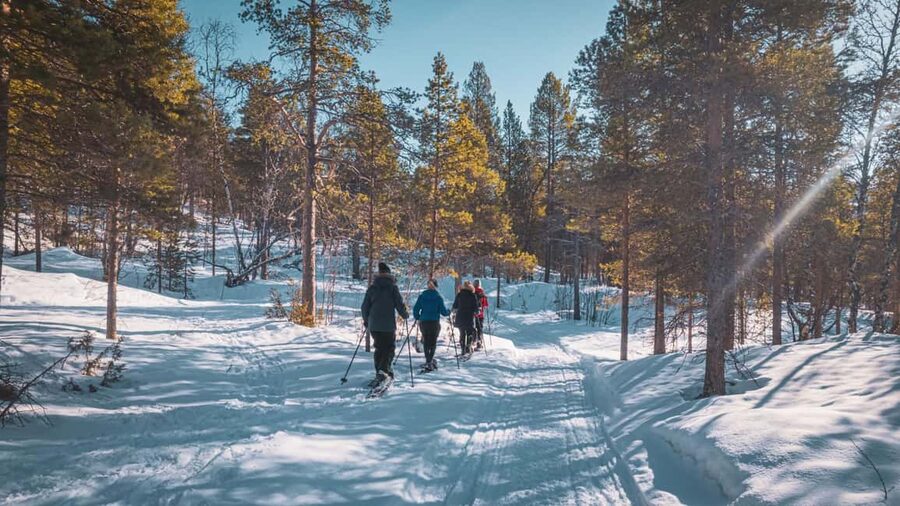 Snowshoeing Adventure to the Enchanting Frozen Waterfall - Is the $187 price fair?
