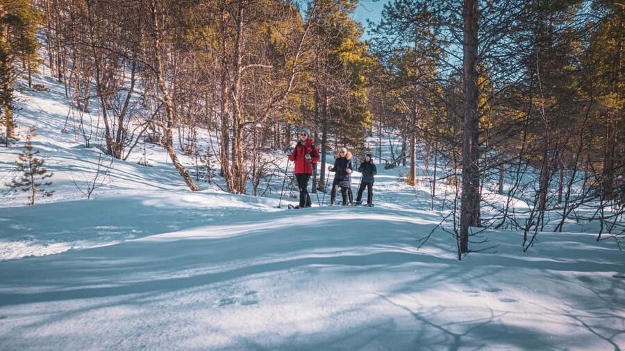 Snowshoeing Adventure to the Enchanting Frozen Waterfall - Who should book this snowshoe trip?