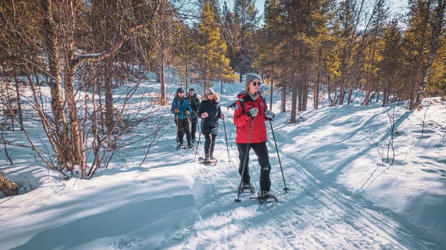 Snowshoeing Adventure to the Enchanting Frozen Waterfall - Practical booking advice