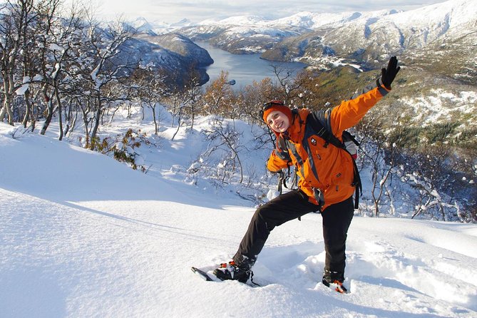Snowshoeing - Winter Day Trip in Bodo, Northern Norway - Key points to know before booking