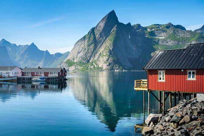 Special Summer Cruise Bus Tour of Lofoten - Guides can make or break a rainy day
