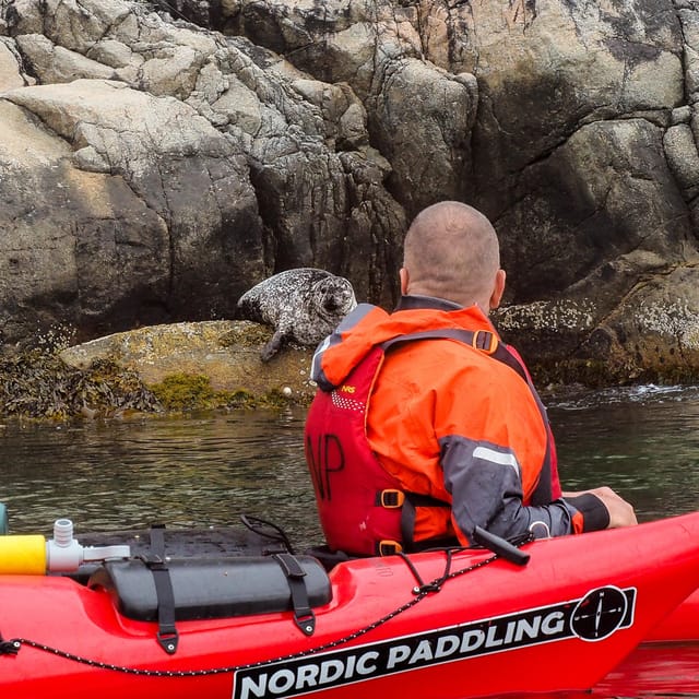 Stavanger: Lysefjord Kayak Safari (Waterfalls & Pulpit Rock) - Who will enjoy this six-hour paddle