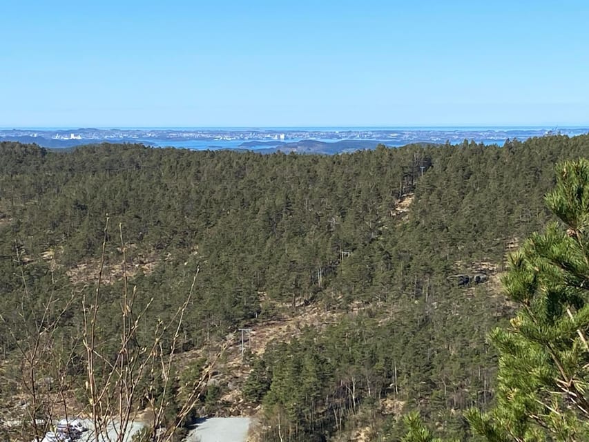 Stavanger: Preikestolen Tour with Guide and Pickup - The summit and that famous fjord view