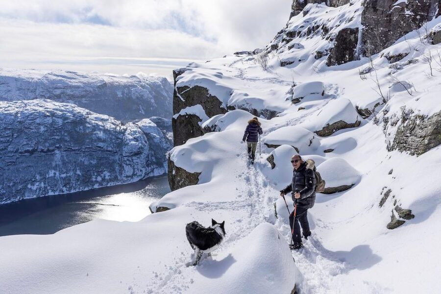 Stavanger: Preikestolen Winter Hike + Hot Lunch - Is $219 good value?