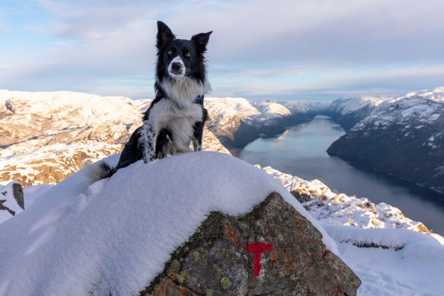 Stavanger: Preikestolen Winter Hike + Hot Lunch - The 2.5-hour climb to Pulpit Rock