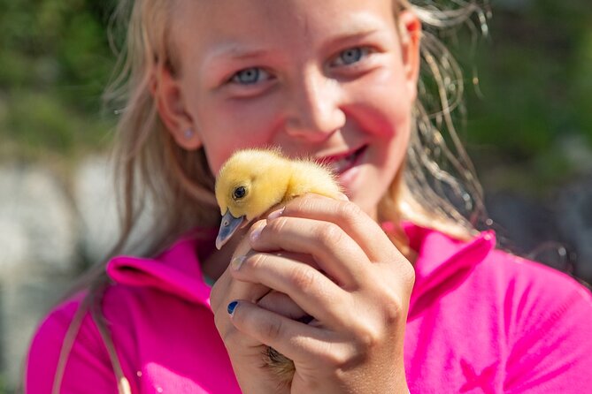 Steim Farm Experience in Vik, Norway - Key points to know before booking