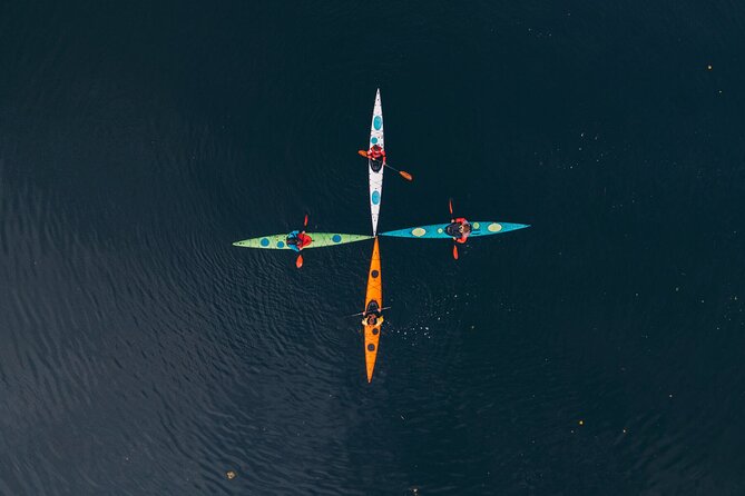 Stockholm: Archipelago Family-Friendly Private Kayaking Tour - Price, timing, and what the private format is worth