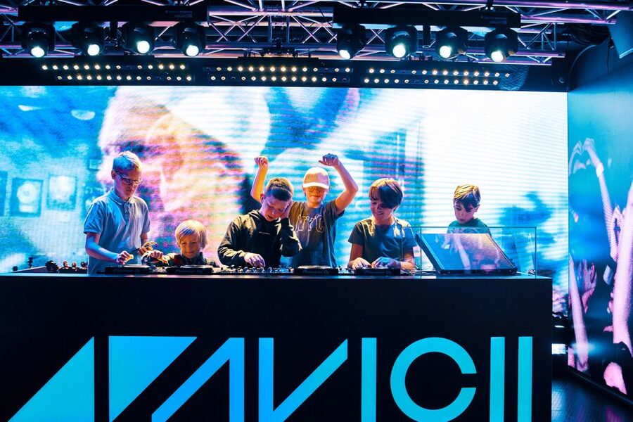 Stockholm: Avicii Experience Skip-the-Line Entrance Ticket - A personal story behind the stage name