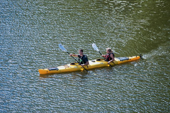 Stockholm City Evening Kayak Tour - What $169.01 gets you