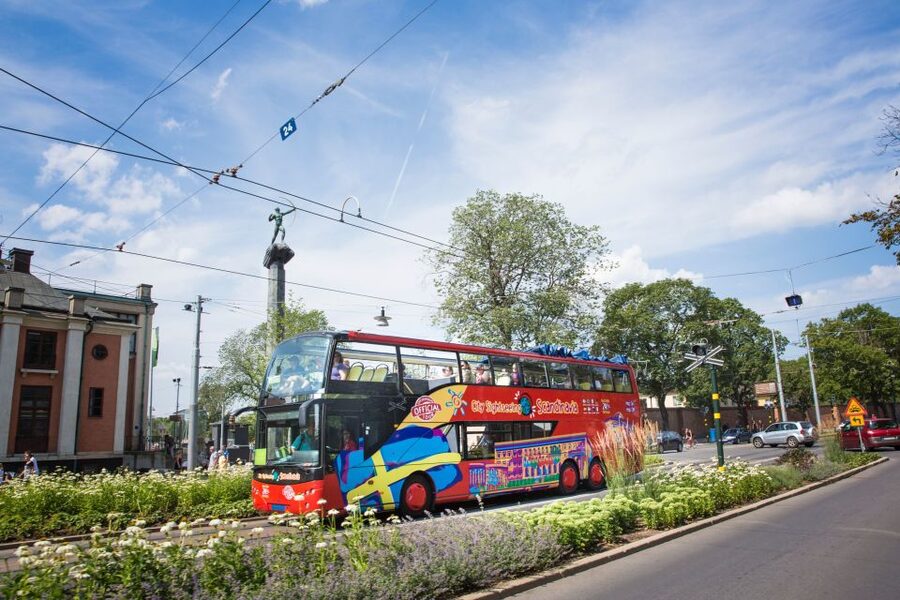 Stockholm: City Sightseeing Hop-On Hop-Off Bus Tour - Price, timing, and who gets good value
