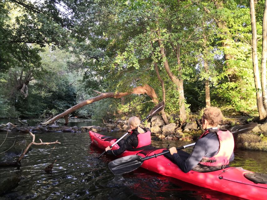 Stockholm Evening Kayak with BBQ. - Booking, cancellation, and timing