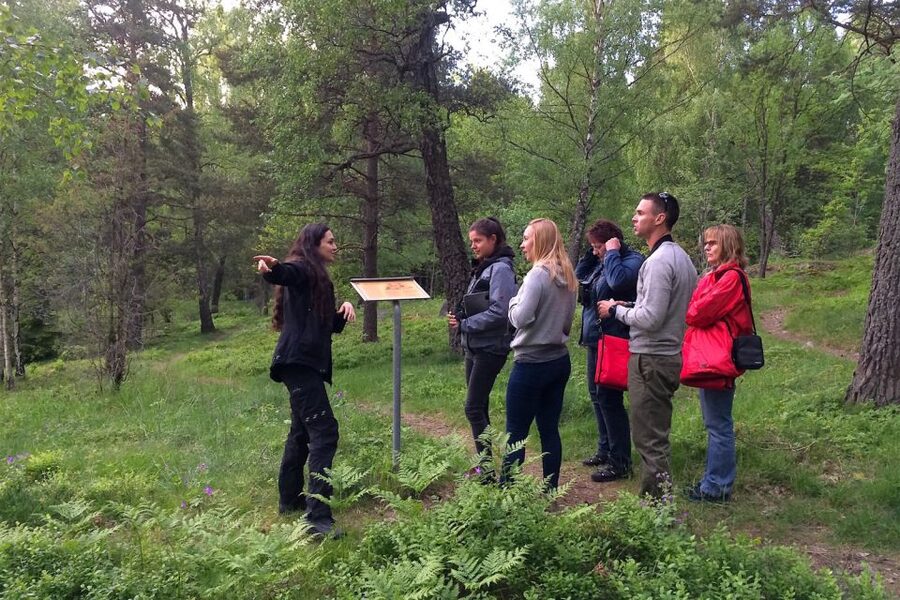Stockholm: Evening Wildlife Safari with Midsummer Meal - Practical details before you reserve