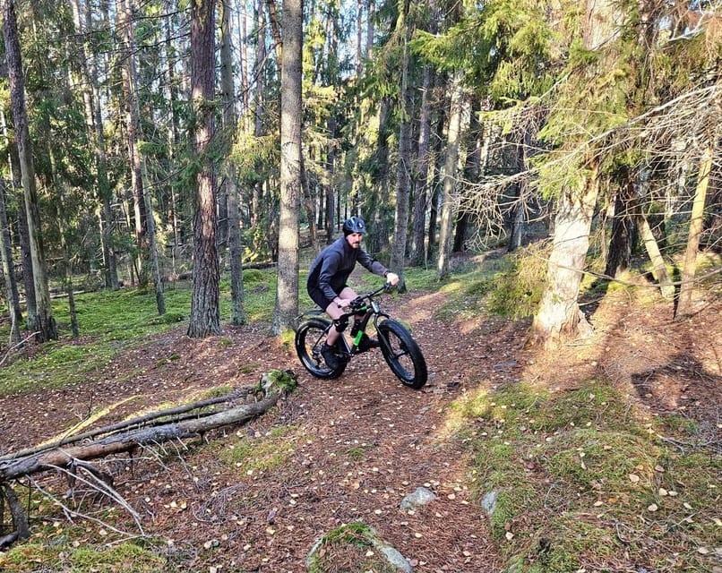 Stockholm: Fat Bike Forest Adventure with Lunch and Sauna - Small groups make the ride more personal