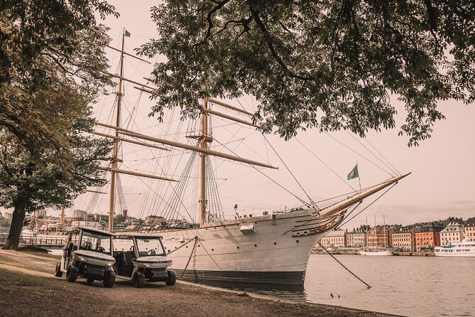 Stockholm Highlights: Private Golf Cart Tour - What the guide adds to the ride