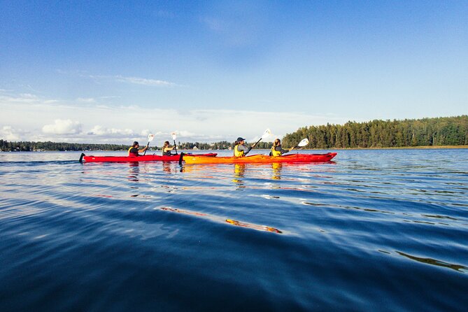 Stockholm: Kayaking tour around Vaxholm Archipelago with Fika - Vaxholm Fortress and the old defense of Stockholm