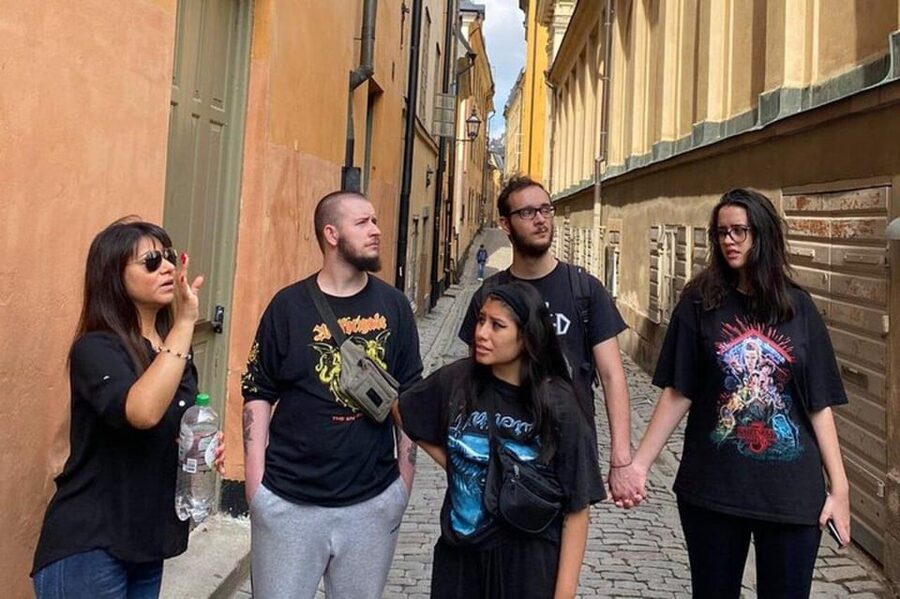 Stockholm: Must-See Attractions Walking Tour with a Guide - What the $59 price buys you