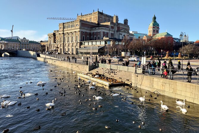 Stockholm Must See - Old Town, boat + Vasa Museum 3h small group - Runestones, dark lanes, and Storkyrkan