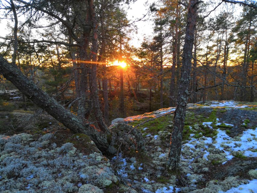Stockholm: Nature Hike with Campfire Lunch - Meeting point and timing deserve care