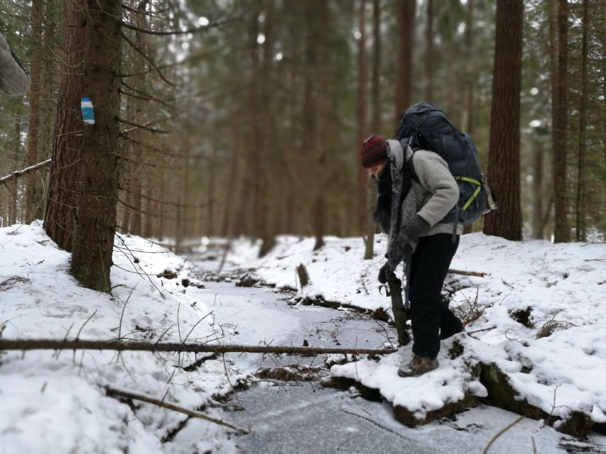 Stockholm: Nature Hike with Campfire Lunch - What the seven-hour itinerary feels like