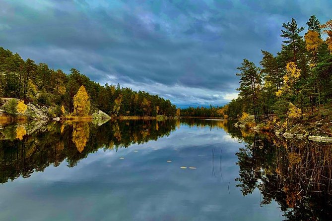 Stockholm: Nature Reserve Hiking Tour with Campfire Lunch - A short bus ride returns you toward central Stockholm