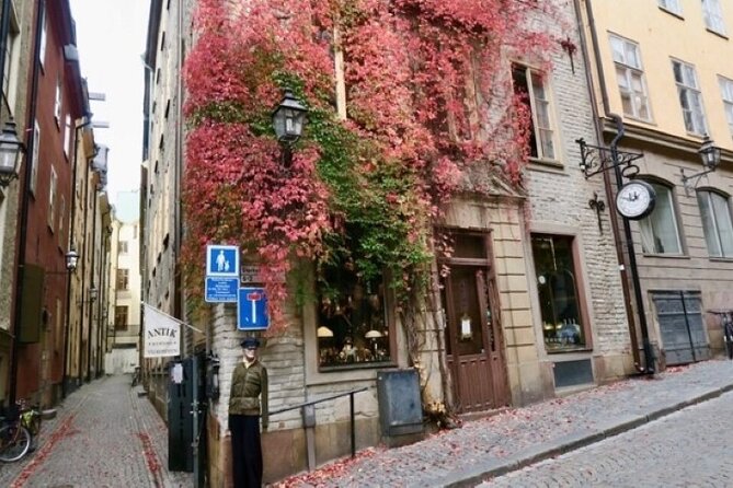Stockholm Private Group Walking Tour | 3 Hours - What the guides add to the experience
