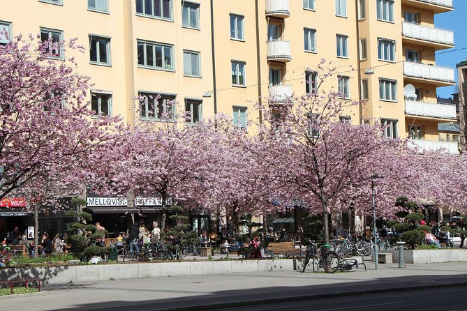 Stockholm Private Tour with a Local: Hip & Bohemian Sodermalm 3hr - Why Södermalm makes a good three-hour walk