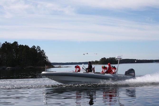 Stockholm RIB Speed Boat Tour - Waldemarsudde and the last city views