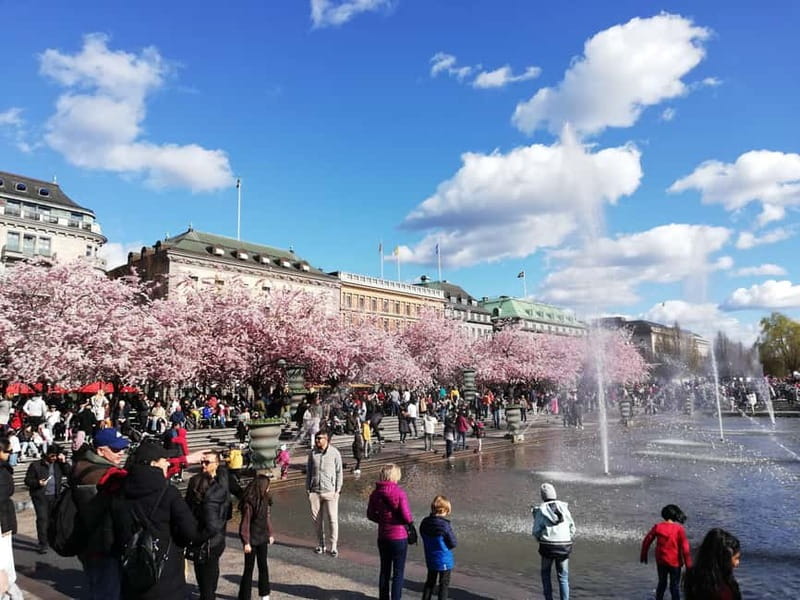 Stockholm: Scandinavian Architecture & Design Ostermalm Tour - Östermalm Food Hall: architecture with something to eat