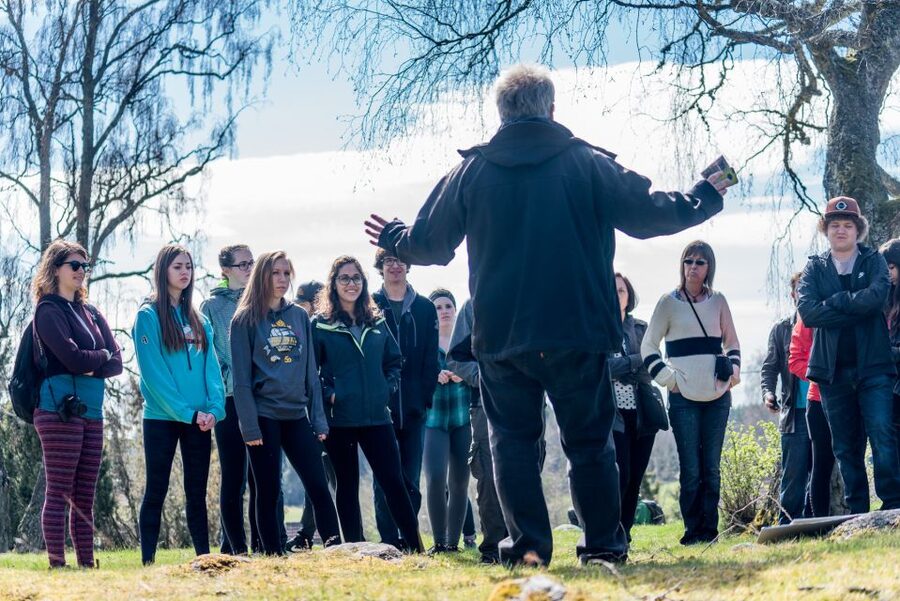 Stockholm: Sigtuna and Uppsala Viking History Day Tour - Guide quality and the pace of the day