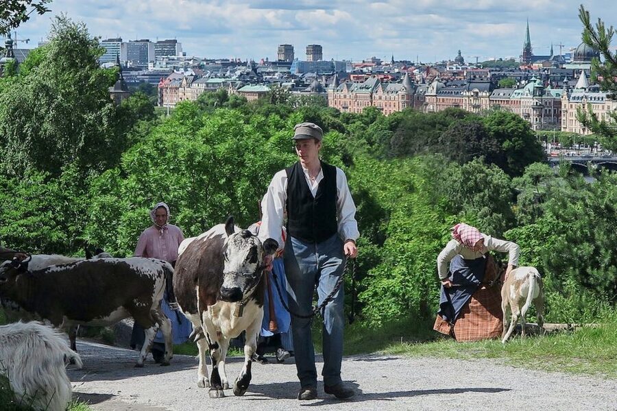Stockholm: Skansen Open-Air Museum Admission Ticket - What the old trades add to the visit