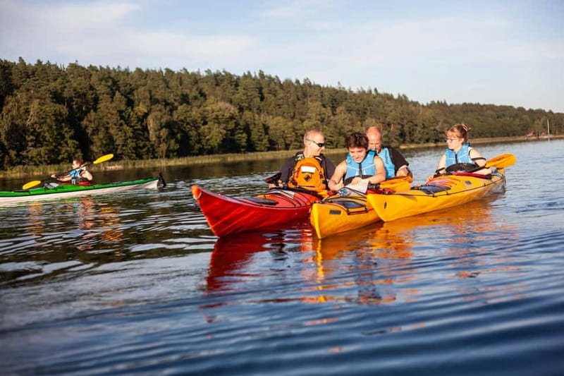 Stockholm: Sunset Archipelago Kayaking & Toast on the Water - Wildlife spotting near the reeds
