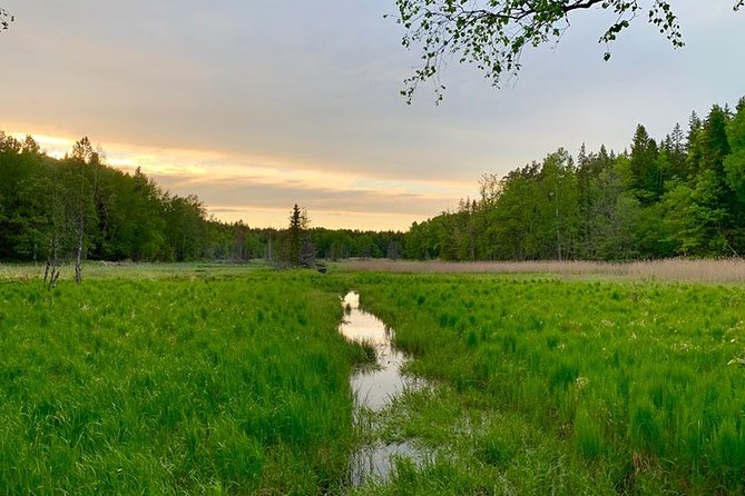 Stockholm: Sunset Hike in Tyresta National Park with Meal - Key points before you book
