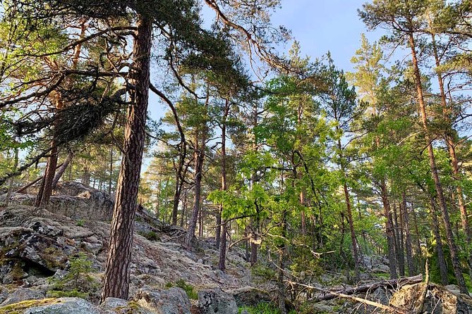 Stockholm: Sunset Hike in Tyresta National Park with Meal - Wildlife at the best hour