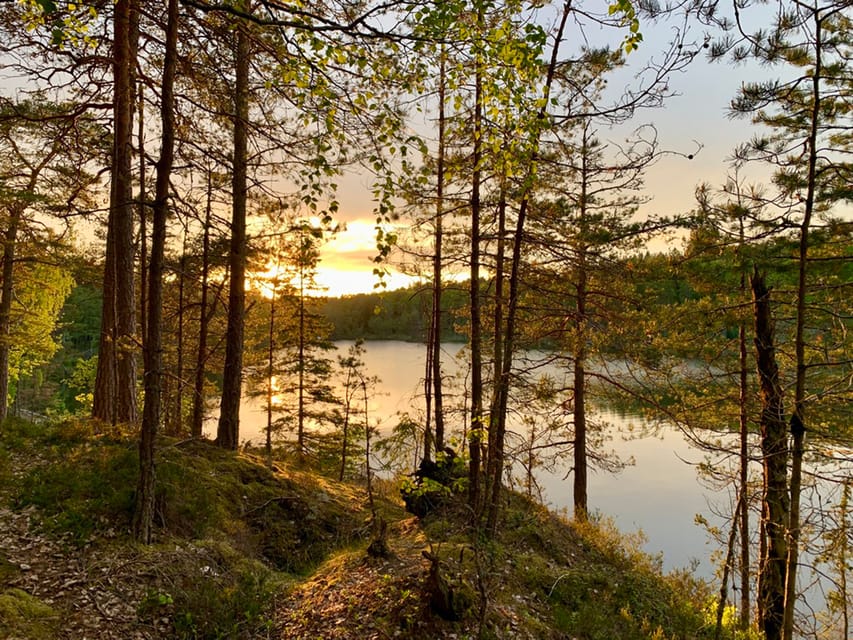 Stockholm: Sunset Hike in Tyresta National Park with Meal - Walking into darkness