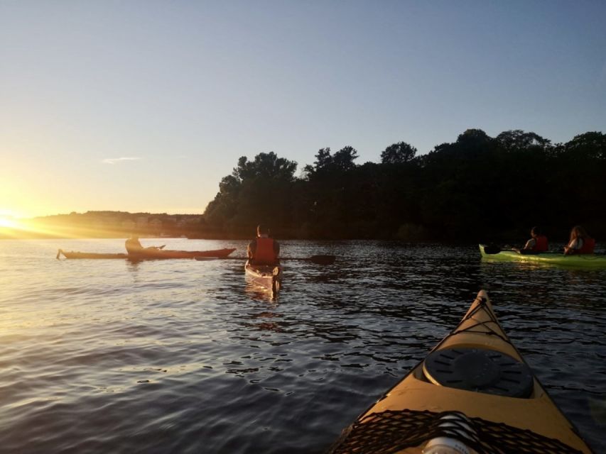 Stockholm: Sunset Kayak Tour in the City + Swedish Fika - The first 90-minute paddle through Stockholm