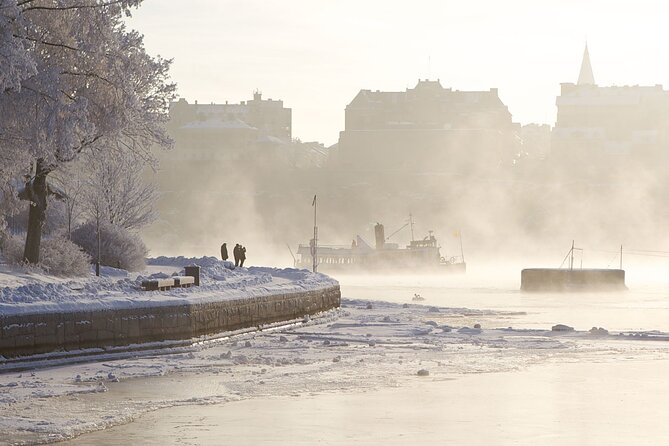 Stockholm Winter Boat Tour with Guide - Key points at a glance