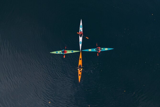 Stockholm: Winter Kayaking, Swedish Fika and hot Sauna Experience - Bogesundslandet, horses, and old oak trees