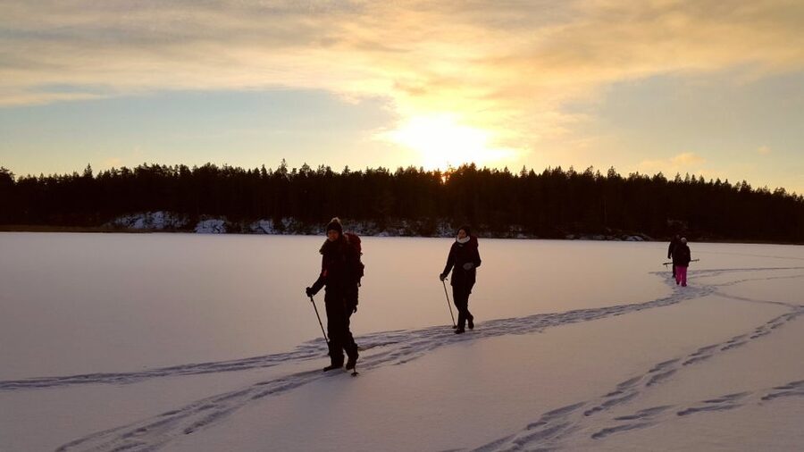 Stockholm: Winter Snowshoe Full-Day Hike - From Södermalm to a Snowy Forest