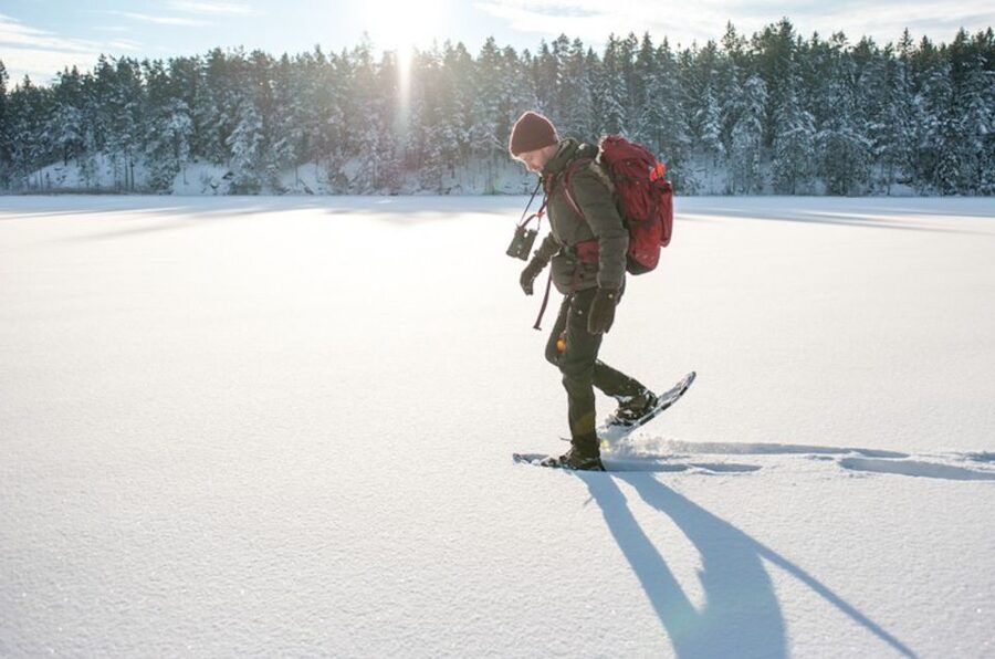 Stockholm: Winter Snowshoe Full-Day Hike - Should You Book It?
