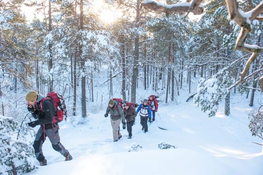 Stockholm: Winter Snowshoe Full-Day Hike - Crossing Frozen Lakes With Care