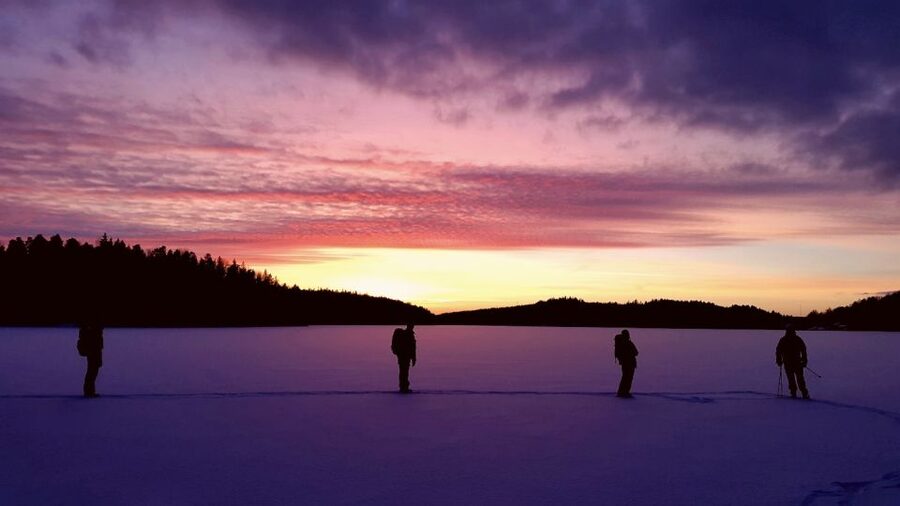 Stockholm: Winter Snowshoe Full-Day Hike - Clothing Matters More Than the Gear