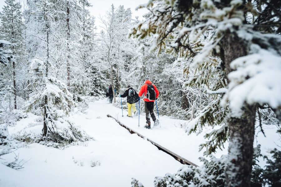 Stockholm: Winter Snowshoe Full-Day Hike - The $176 Question